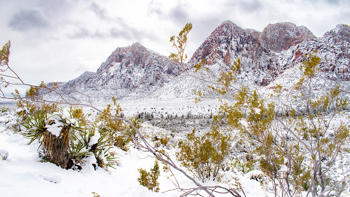 Off the strip Vegas red rock canyon in the snow